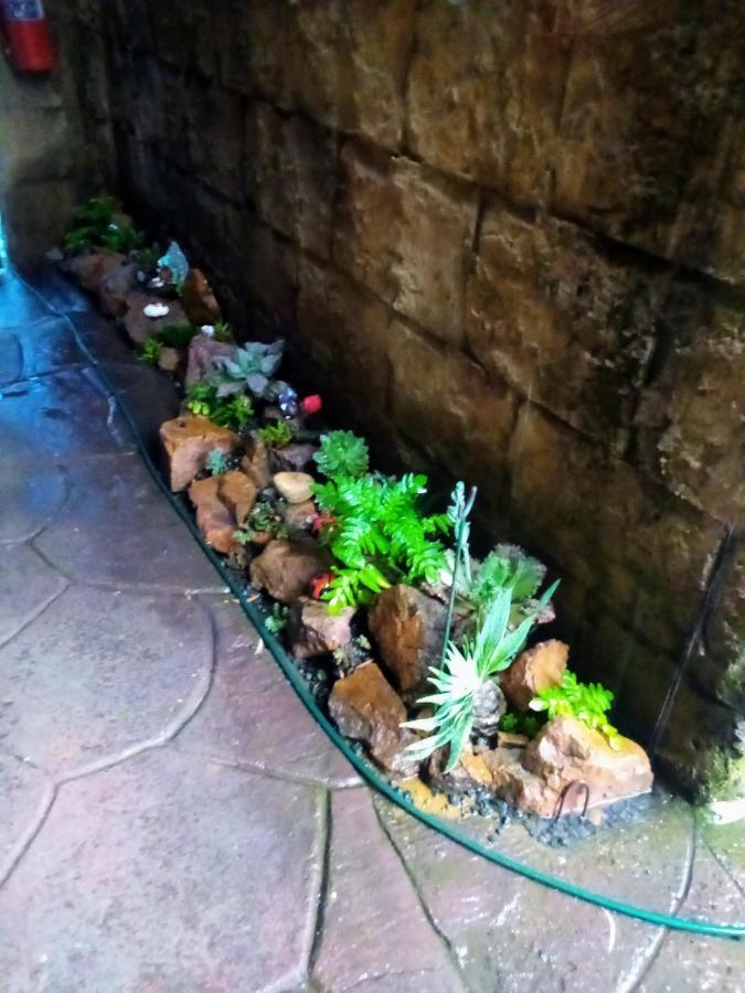Rock Art Guesthouse Witbank Exterior photo